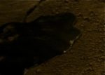 1_BlackOil