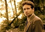 6_Mulder