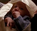 hybr_william