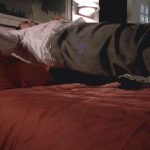 influences_4X06_sang_4