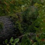 influences_5X04_detour