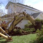 influences_6X13_arcadia