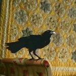 influences_7X16_chimera_3