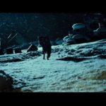 influences_iwtb_6