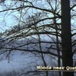 influences_silence-of-the-lambs-tag