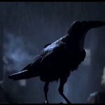 influences_the_crow