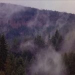influences_twinpeaks_2